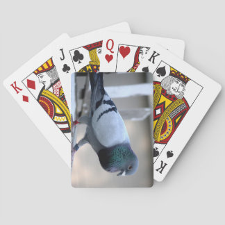 Baralho Homing Pigeon no Loft Playing Cards