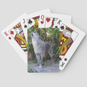 Baralho Howling Wolf Bicycle Playing Cards