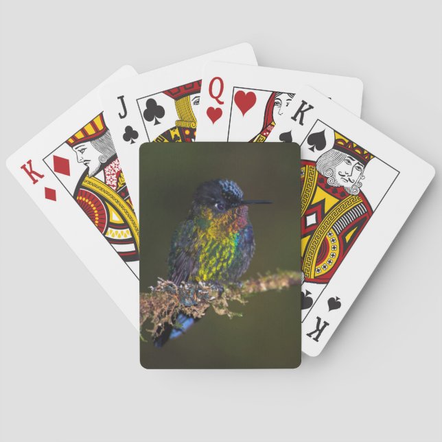 Baralho Hummingbird (Verso)