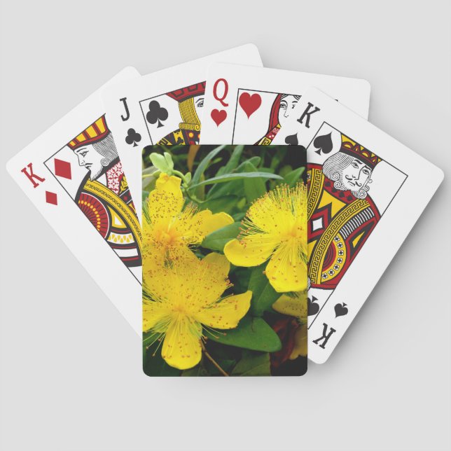 Baralho Hypericum calycinum (Verso)