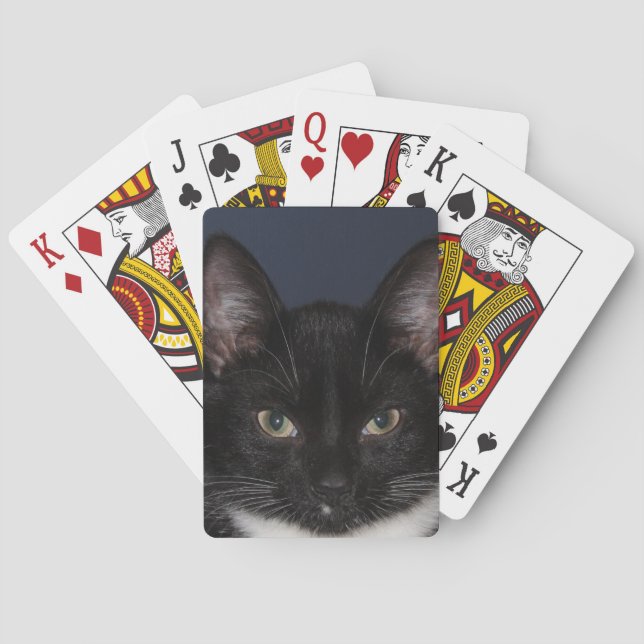 BARALHO I LUV CATZ (Verso)