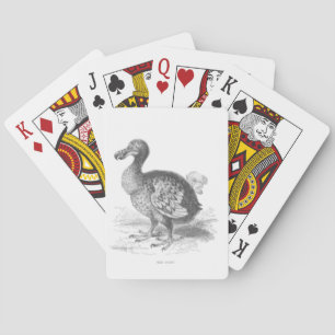 Baralho Ilustração de Pássaro Dodo