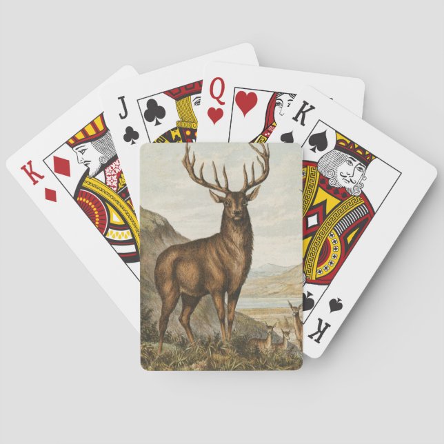 Baralho Ilustração Vintage Buck (Verso)