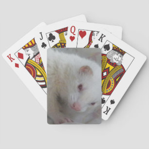 Baralho Imagem da doninha do albino