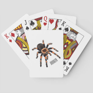 Baralho Imagem do desenho de Tarantula