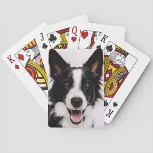 Baralho Imagens de Getty A border collie de sorriso