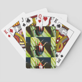 Baralho Inclinação