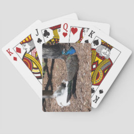 Baralho Indian Blue and White Pheasants playing cards