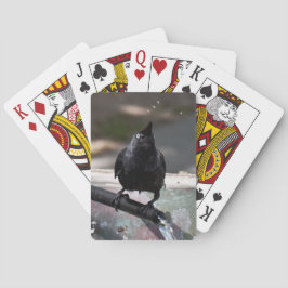 Baralho Índice padrão de cartas de jogar pássbebendo