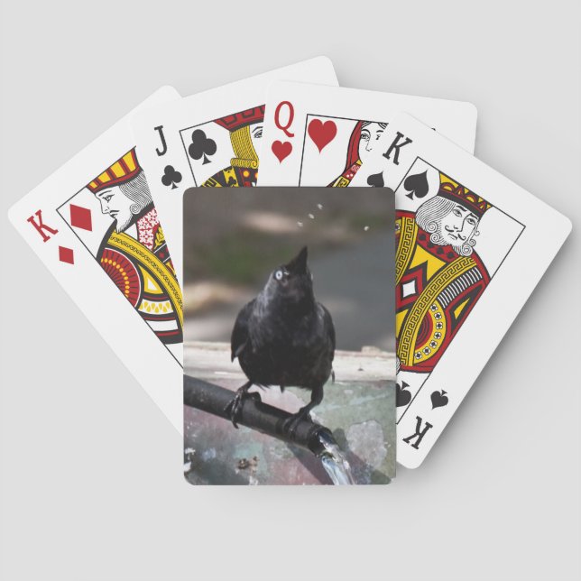 Baralho Índice padrão de cartas de jogar pássbebendo (Verso)