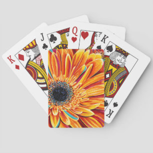 Baralho Intermitências de cores II