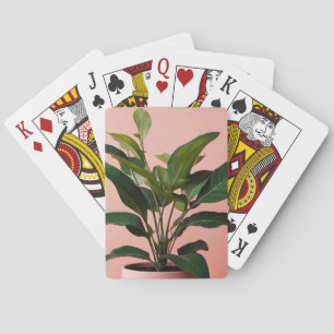 Baralho Jardinagem de Planta Mínima Rosa e Verde