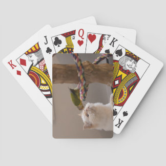 Baralho Jeu de cartes bisou entre du chat et de l'oiseau