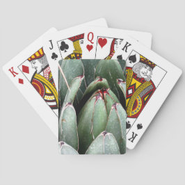 Baralho Jogando Cartões Aloe