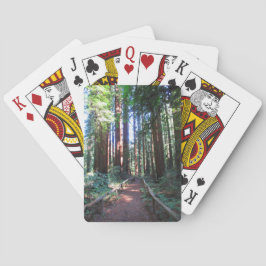 Baralho Jogando Cartões, Califórnia, Sequoia