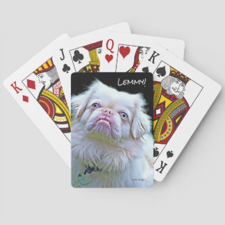 Baralho Jogando Cartões... limpando os Pekingeses!