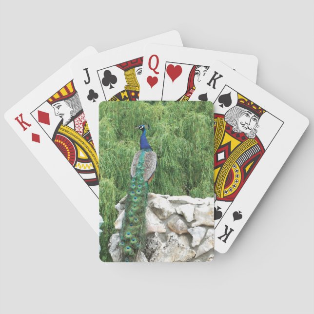 Baralho Jogando Cartões Pavão no jardim (Verso)