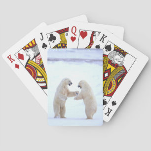 Baralho Jogo do urso polar