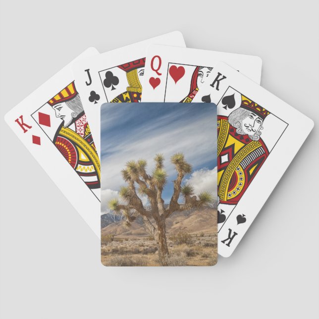 Baralho Joshua Trees no Deserto (Verso)