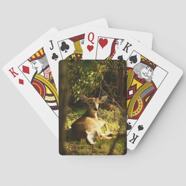 Baralho Jovem Buck Bicycle Play Cards (Verso)