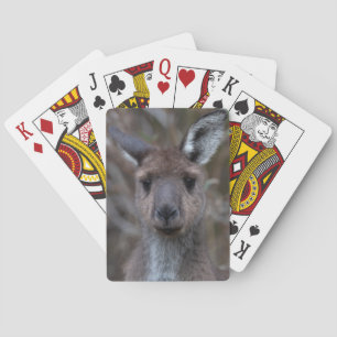 Baralho Kangaroo Face