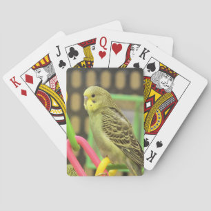 Baralho Keet