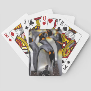 Baralho King Penguin com Pintinho