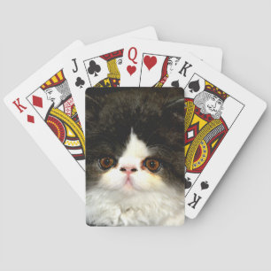 Baralho Kitten Preto e Branco