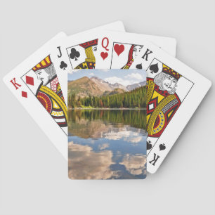 Baralho Lago bear. Colorado