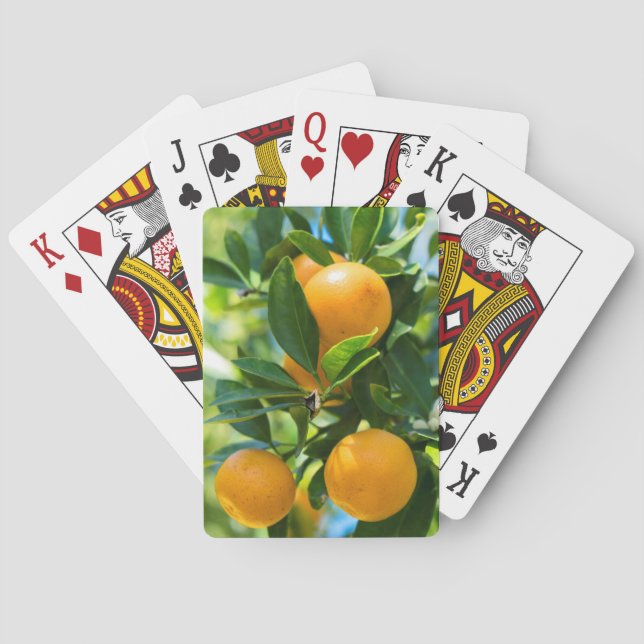 Baralho Laranjeira Frutífera (Verso)