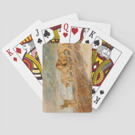 Baralho Leões na margem de um rio africano