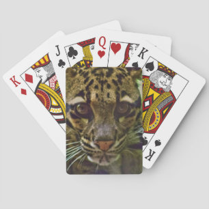 Baralho Leopardo nublado