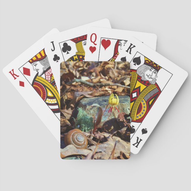 Baralho Lily e Shell com Trutas Amarelas e de Pedra (Verso)