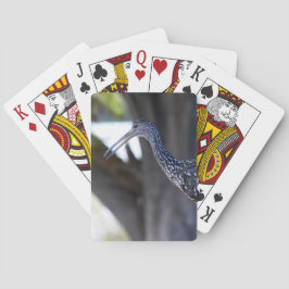 Baralho Limpkin, The Crying Bird