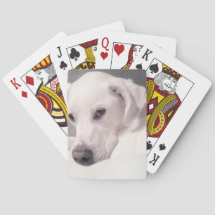 Baralho Linda Cinza de Cachorros Brancos Labrador Mix Play