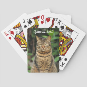 Baralho Linda Tabby Cat