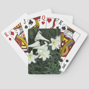 Baralho Lírio-de-páscoa (Lilium regale)