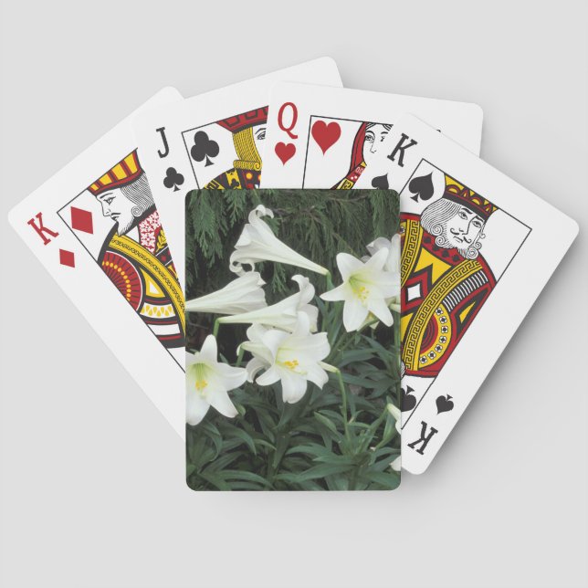Baralho Lírio-de-páscoa (Lilium regale) (Verso)