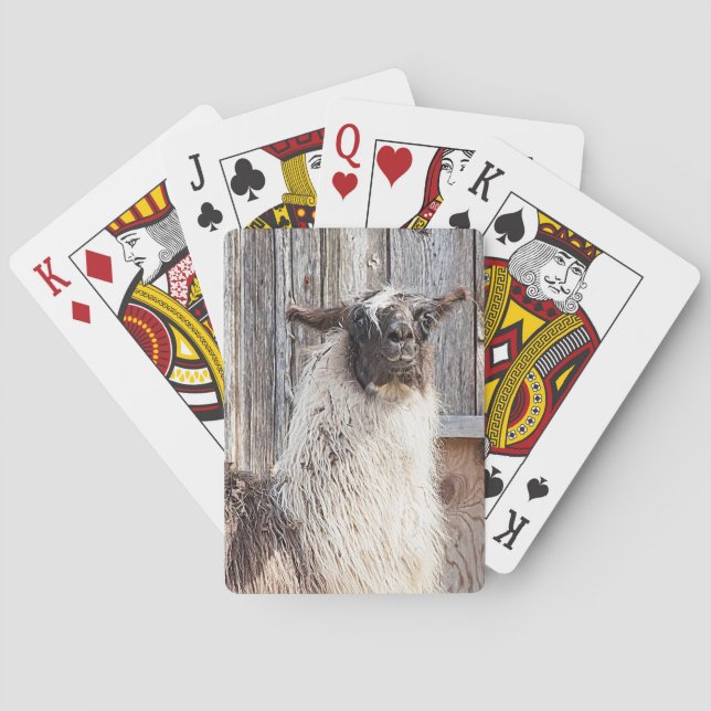 Baralho Llama em frente a um celeiro (Verso)