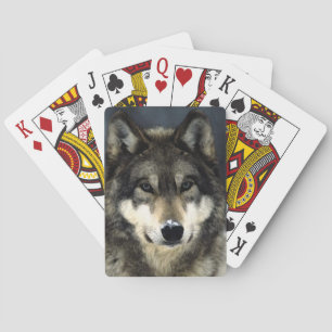 Baralho Lobo
