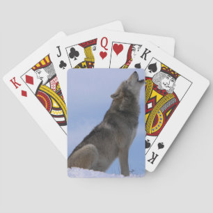 Baralho Lobo de madeira do Alasca