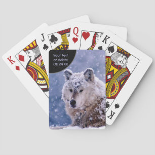 Baralho Lobo do inverno que descansa - personalize