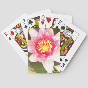 Baralho Lotus na pintura rosa