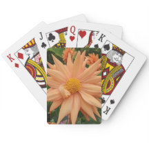 Lovely Orange Dahlia Flower Floral