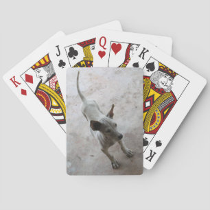 Baralho Luk Maa... Tailandês Soi Puppy Dog