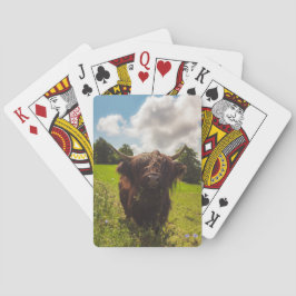 Baralho Luz verde do campo verde da vaca em lata negra