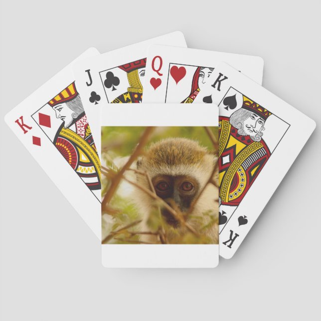 Baralho Macaco atrevido. (Verso)