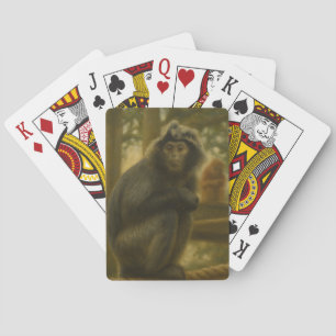 Baralho Macaco Contemplativo - Arte Serena Selvagem
