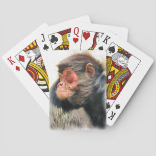 BARALHO MACACO DE ARANHA
