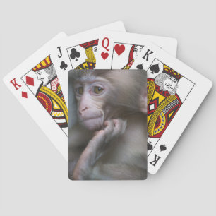 Baralho Macaco do bebê